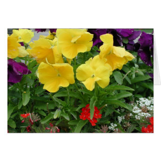 Pansy Pannier Cards