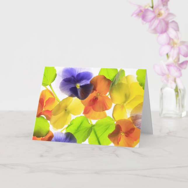 Pansy Party Get Well Card (Orchid)