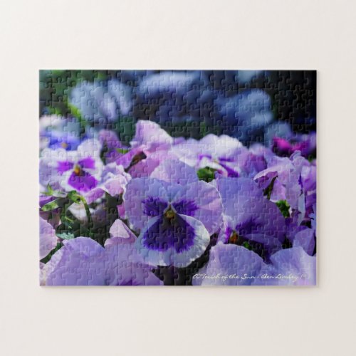 Pansy Pizzazz Jigsaw Puzzle