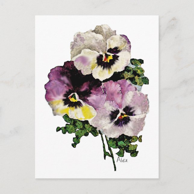 Pansy Postcard (Front)