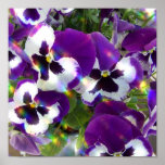 Pansy Print