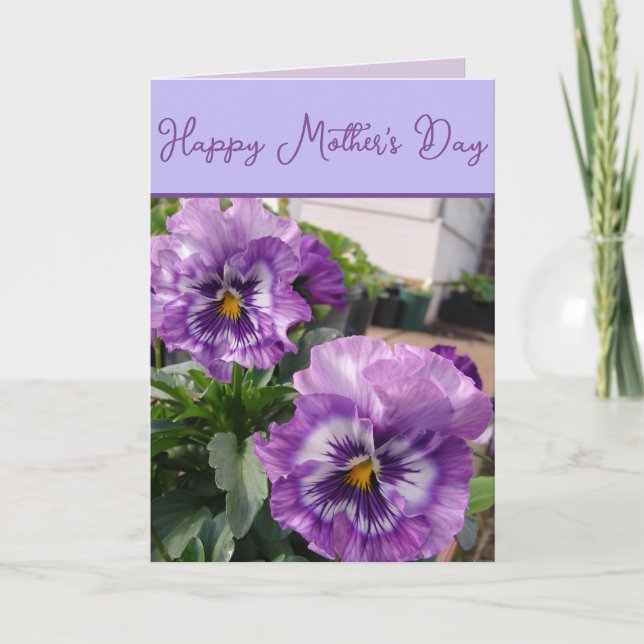 Pansy Purple Flower floral Mothers Day Card Blue (Front)