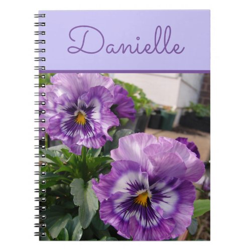 Pansy Purple Flower floral Spring Bloom flowers Notebook