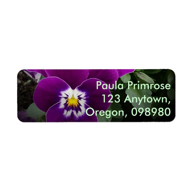 Pansy Purple Garden Label (Front)