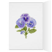 Pansy Seeds - Blank Card (Inside (Left))