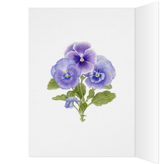 Pansy Seeds - Blank Card (Inside (Left))