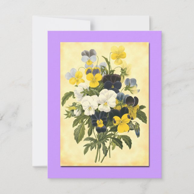Pansy Violets Blank Botanical 4.25x5.5 Flat Art Card (Front)