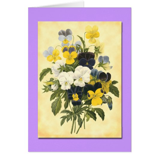 Pansy Violets Blank Botanical Art Cards (Front)
