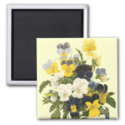 Pansy Violets Botanical Art Magnet