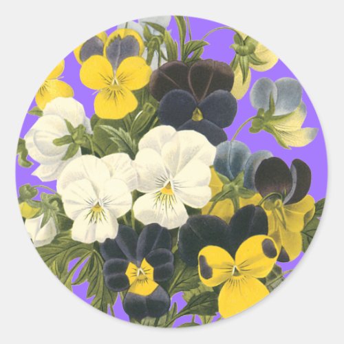 Pansy Violets Botanical Art Stickers