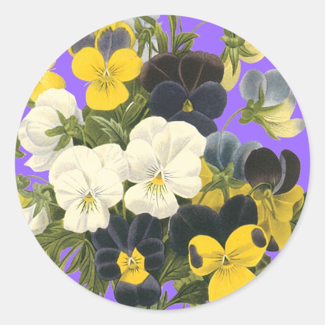 Pansy Violets Botanical Art Stickers (Front)