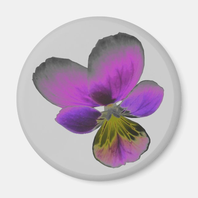 Pansy Wild Dark Purple Magnet (Front)