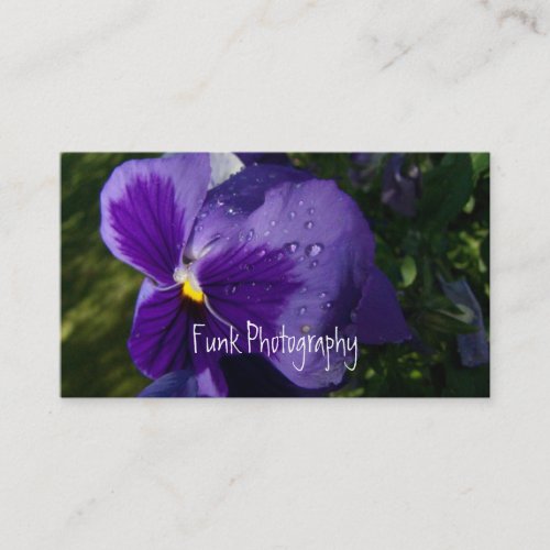 Pansy with Water Droplets Business Card Template
