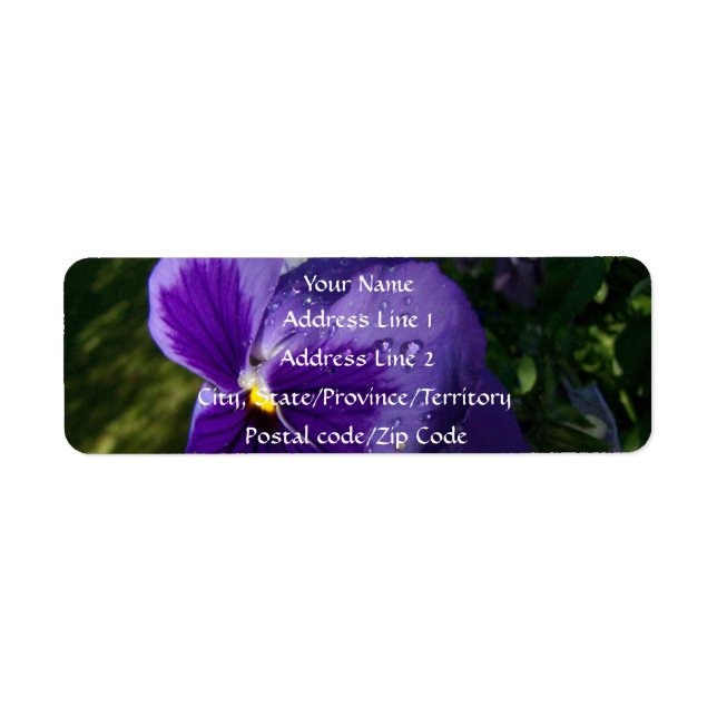 Pansy with Water Droplets Label (Front)