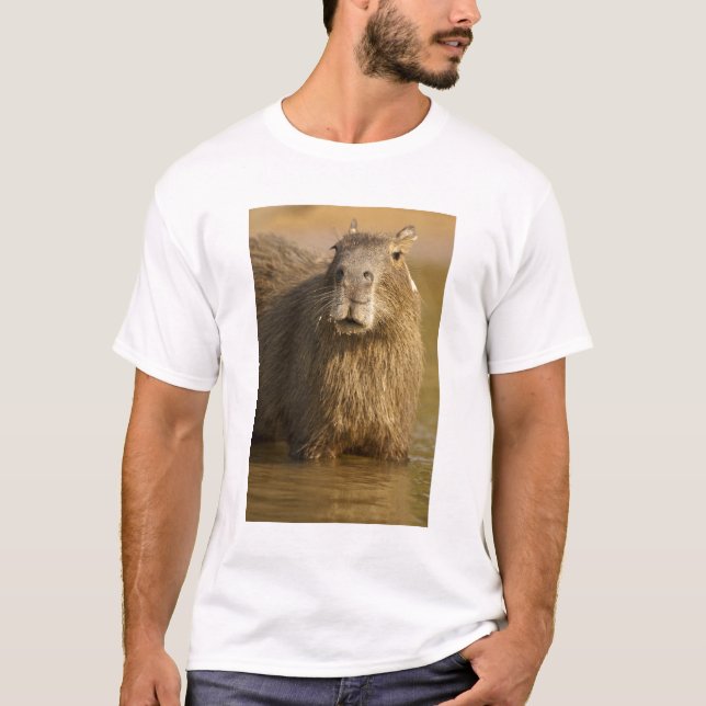 Pantanal, Brazil, Capybara, Hydrochoerus T-Shirt (Front)