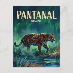 Pantanal Brazil Postcard