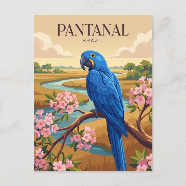 Pantanal Brazil Postcard (Front)