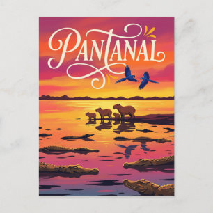 Pantanal Brazil Postcard