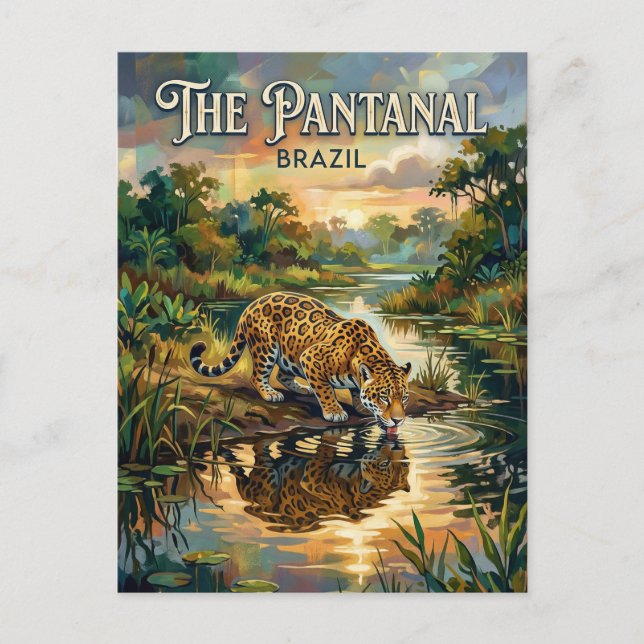 Pantanal Wetlands Brazil Postcard (Front)