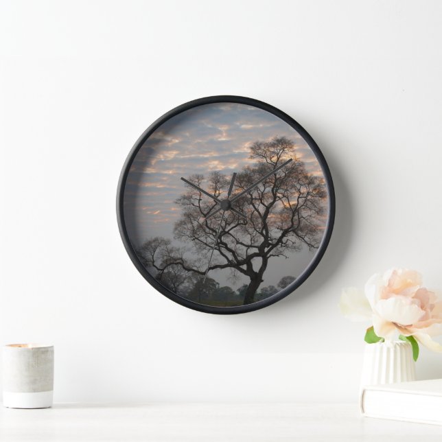 Pantanal Wetlands | South America, Brazil Clock (Home)