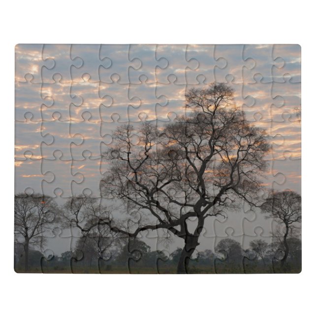 Pantanal Wetlands | South America, Brazil Jigsaw Puzzle (Puzzle Horizontal)