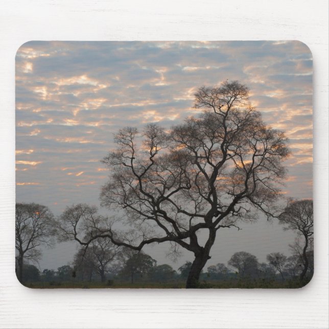 Pantanal Wetlands | South America, Brazil Mouse Pad (Front)