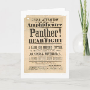 Panther and Bear Fight Advertisement (1293A) Card