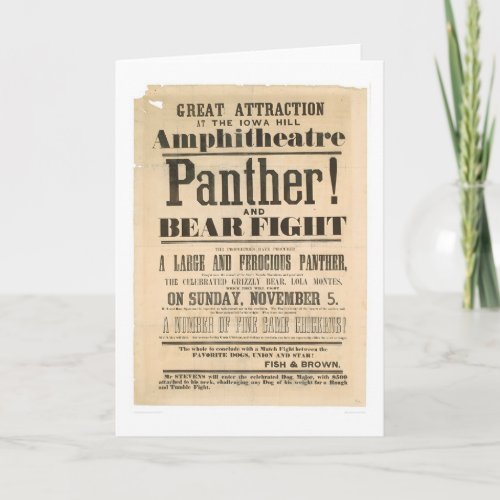 Panther and Bear Fight Advertisement 1293A Card