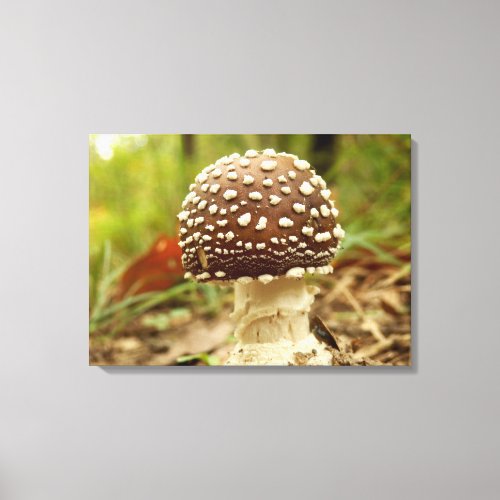 Panther Cap Mushroom Canvas Print