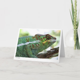 Panther chameleon Gift Card
