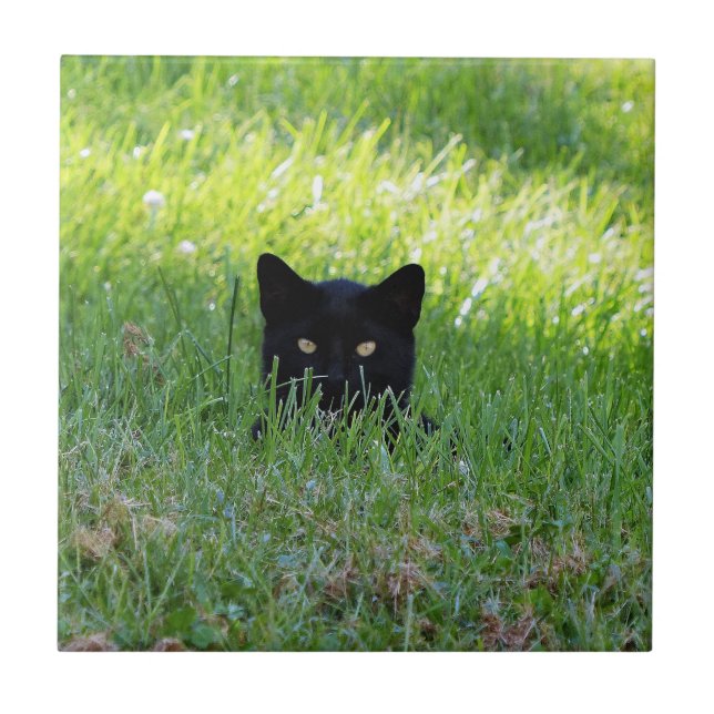 Panther in the Grass Ceramic Tile (Front)