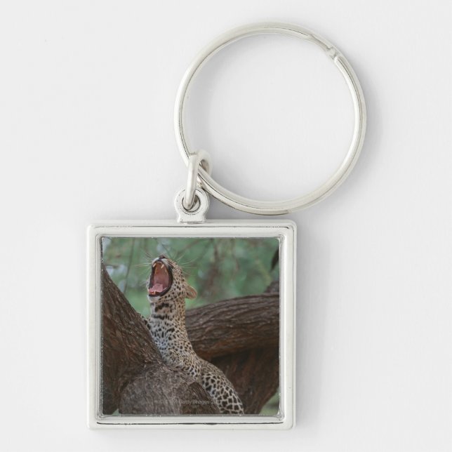 Panther Keychain (Front)