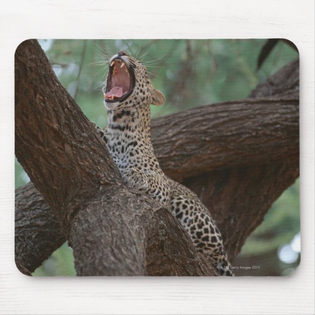 Panther Mouse Pad (Front)