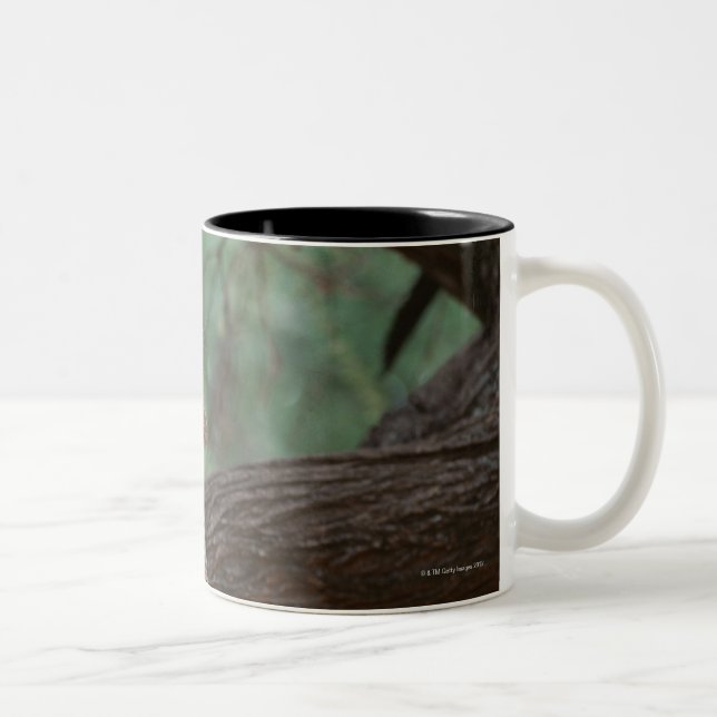 Panther Two-Tone Coffee Mug (Right)