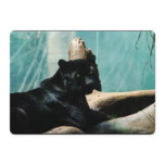 Panther with Piercing Eyes Invitation