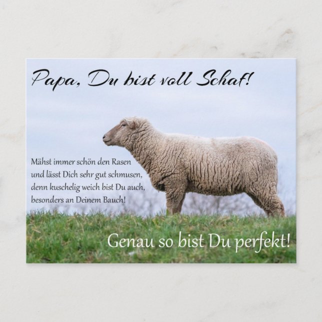 Papa, Du bist voll Schaf! Postcard (Front)