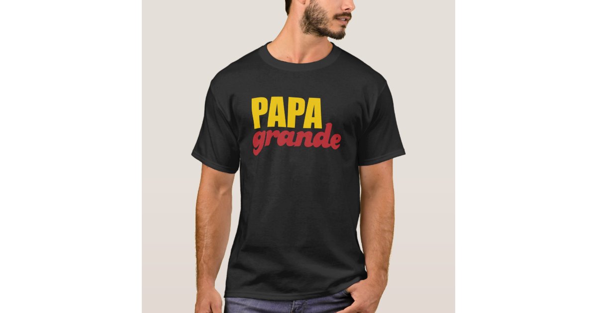 ESTAMPA DO PAPA - GRANDE