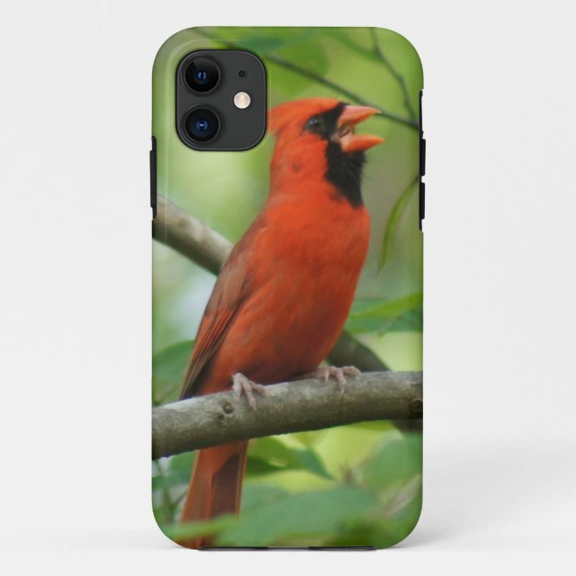 Papa Singing! Case-Mate iPhone Case (Back)