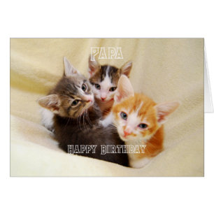 Papa, Warm and Fuzzy Kitten Trio Happy Birthday Cards
