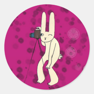 Paparazi in pink classic round sticker