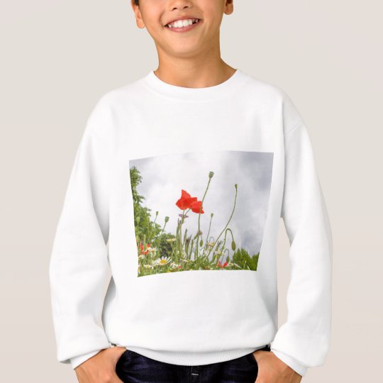 Papaver flower sweatshirt