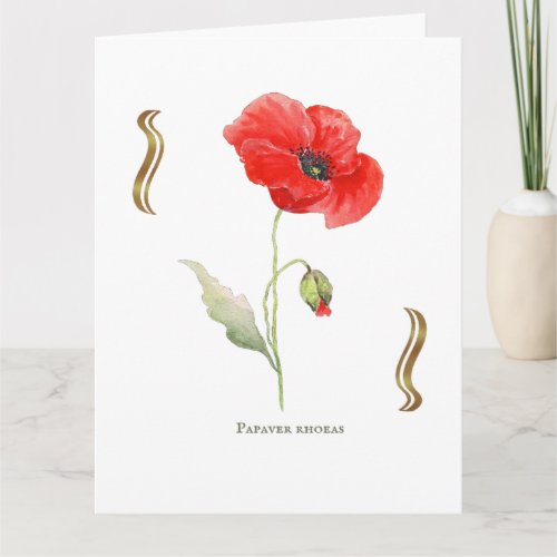 Papaver rhoeas  card