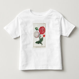 Papaver somniferum and Papaver rheas engraved by G Toddler T-shirt