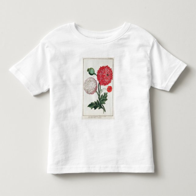 Papaver somniferum and Papaver rheas engraved by G Toddler T-shirt (Front)