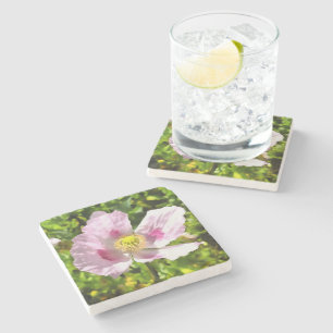 Papaver Somniferum Pink Poppy Art Stone Coaster