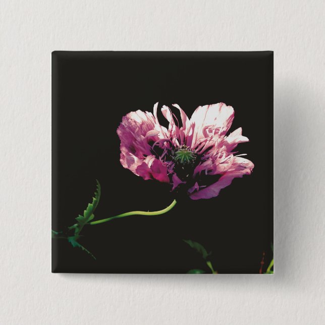Papaver Sugarplum  Button (Front)
