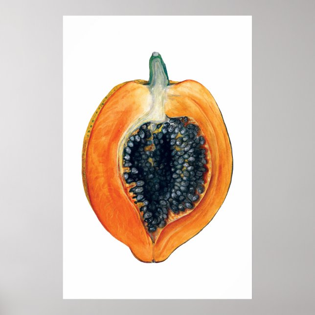 PAPAYA botanical fruit orange print (Front)