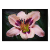 Paper Beauty (Front Horizontal)