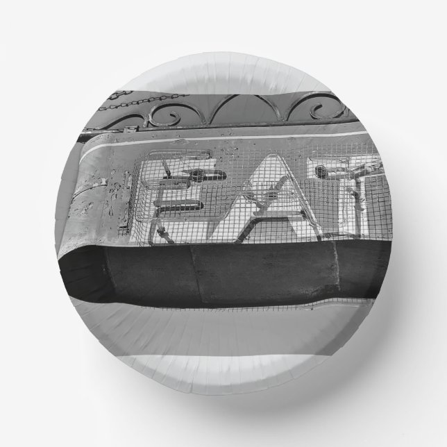 Paper Bowl for Teen/Adult Party (Front)