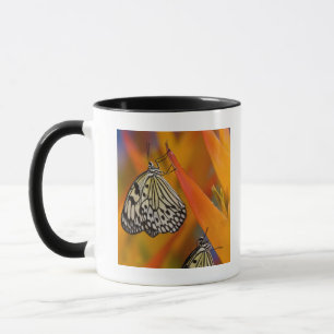 Paper Kite Butterflies (Idea leuconoe) on flower Mug